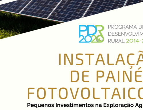 Instalação de Painéis Fotovoltaicos PDR 2014:2020